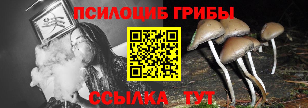 Псилоцибиновые грибы Magic Shrooms  Галлюциногенные грибы мицелий  Вышний Волочёк  Вход с VPN 